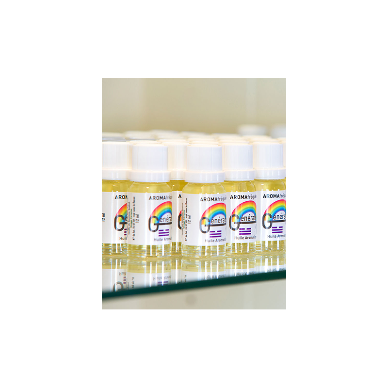 Formation : Les 12 Méridiens Primaires et les 5 Éléments - Vendredi et samedi 13 et 14 Mars